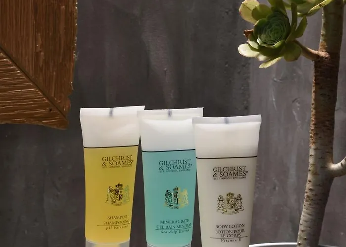 Villa Executive Paros 5 Bedrooms Beachfront Supreme Beachfront Sea Views&private Pool